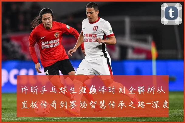 许昕乒乓球生涯巅峰时刻全解析从直板传奇到赛场智慧传承之路-深度解析