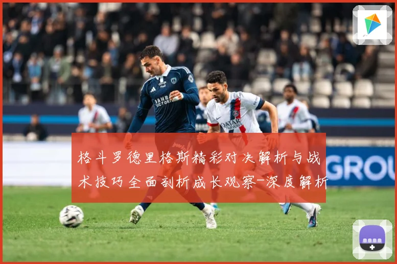 格斗罗德里格斯精彩对决解析与战术技巧全面剖析成长观察-深度解析
