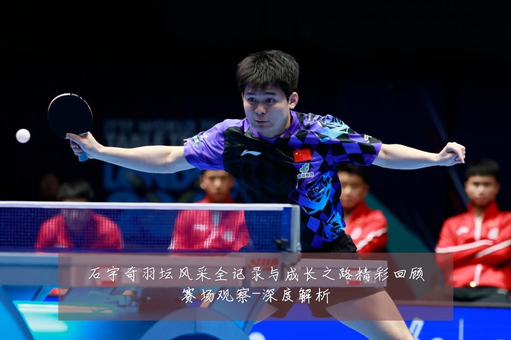 石宇奇羽坛风采全记录与成长之路精彩回顾赛场观察-深度解析